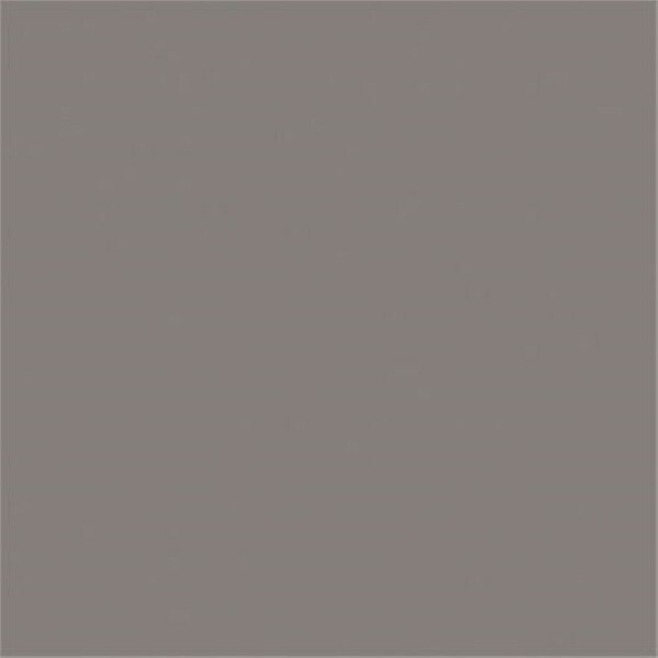 Sikkens 5797686 Rijks Tester Warm Grijs - 30ml - Detailed view of the product