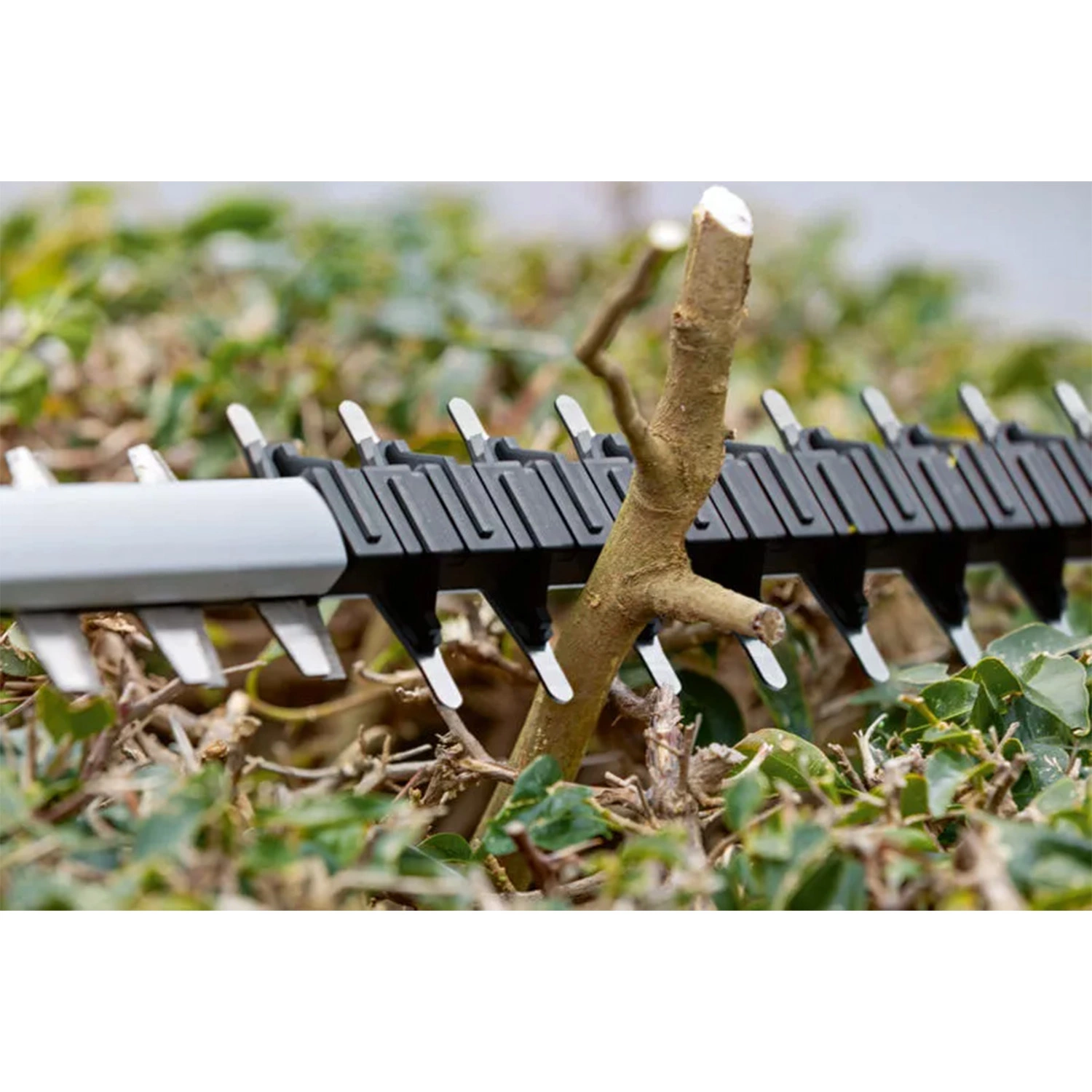 Bosch GHE 18V-50 18V Li-ion Accu Heggenschaar Body - 50 Cm thumbnail 4