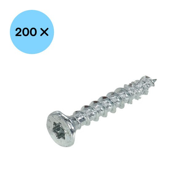 DynaPlus 0281.01.12701 Unischroef - TX10 - 3.0 X 16mm - Platkop - Voldraad - Verzinkt (200st) - Detailed view of the product