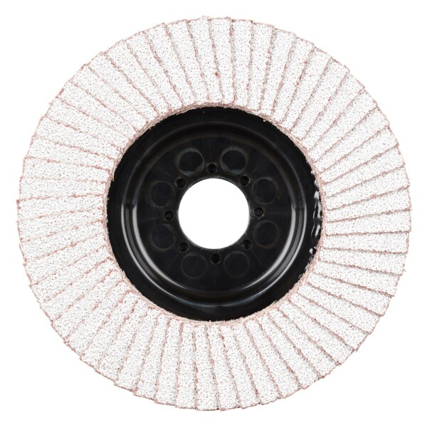 Rhodius 210475 LGA ALU K40 TOPline Lll Lamellenslijpschijf 125 X 22,23mm (10 St) K40 - Detailed view of the product