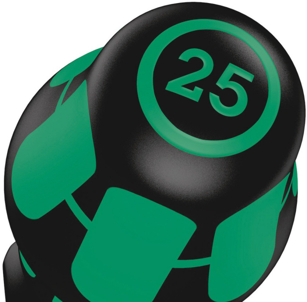 Wera 5028012001 Schroevendraaier - Torx - T25 X 100mm - Detailed view of the product