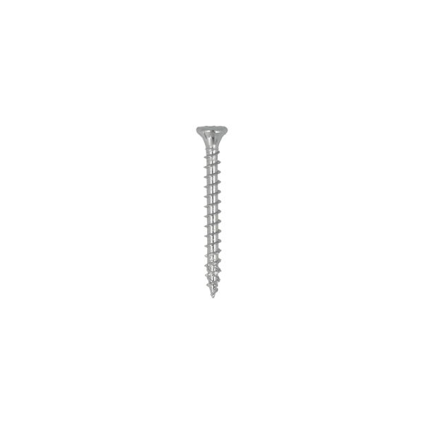 DynaPlus 0281.01.25601 Unischroef - TX20 - 4.0 X 40mm - Platkop - Voldraad - Verzinkt (200st) - Detailed view of the product