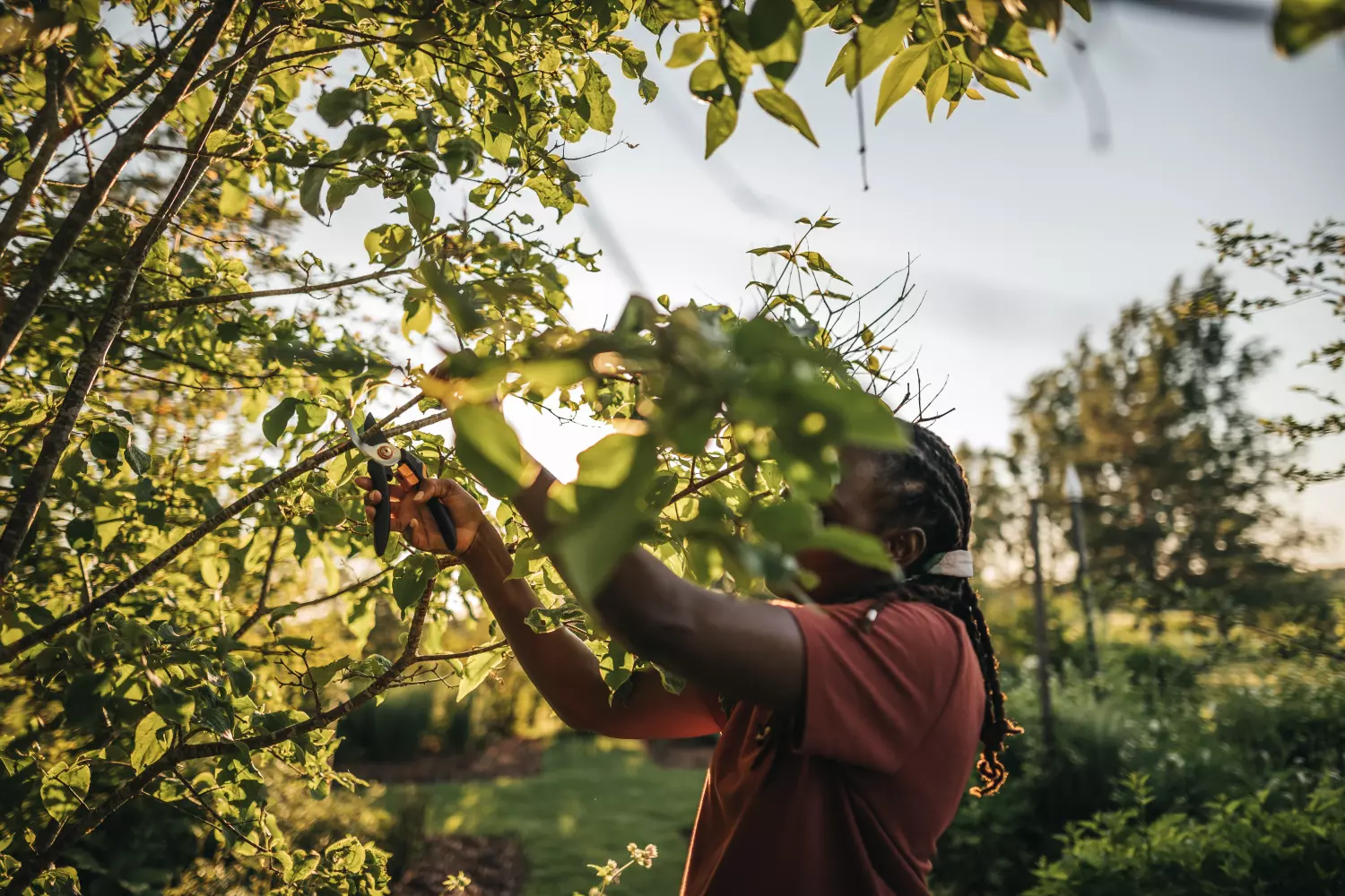 Fiskars 1057162 Solid Snoeischaar Bypass M P321 - 20mm thumbnail 3