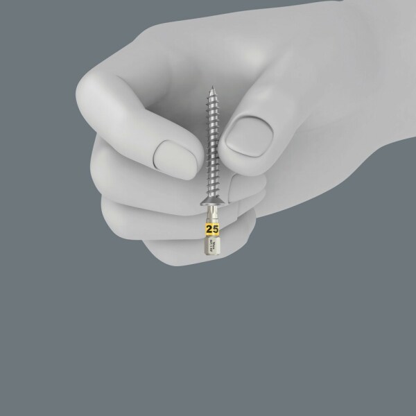 Wera 05057435001 12-delig Bit-Check 12 Wood TX HF 1 Bitset - PZ/TX - Detailed view of the product