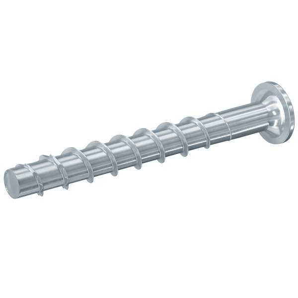 Fischer 546380 FBS II P Betonschroef - TX30 - 6.0 X 60mm - Bolkop - Voldraad - Verzinkt (100st) - Detailed view of the product