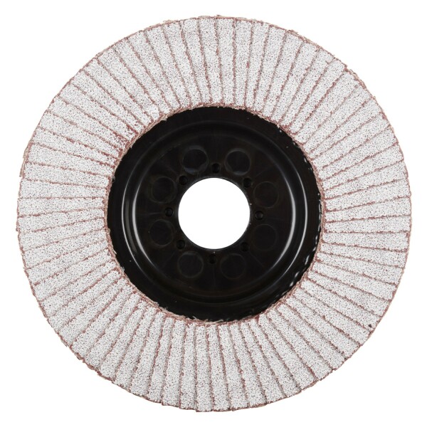 Rhodius 210476 LGA ALU K60 TOPline Lll Lamellenslijpschijf 125 X 22,23mm (10 St) K60 - Detailed view of the product