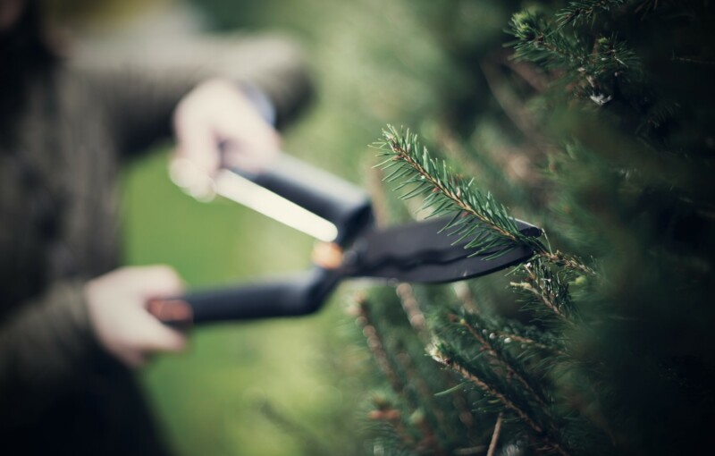 Fiskars HS22 Heggenschaar - Detailed view of the product