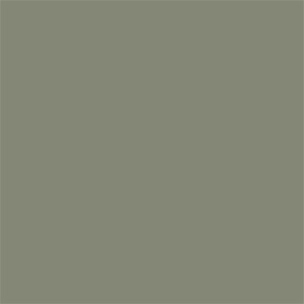 Sikkens 5797639 Rijks Tester Groen - 30ml - Detailed view of the product