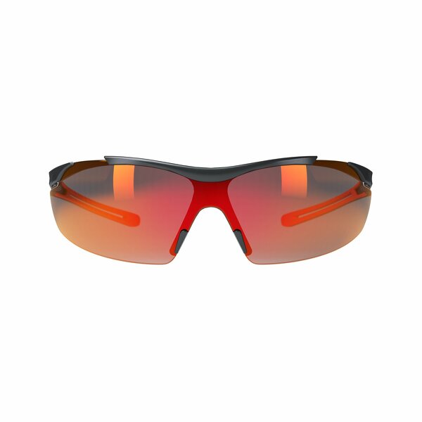 Hellberg Safety 23333-001 Veiligheidsbril Argon AF+AS Smoke Rood - Anti-kras - Anti-condens - Detailed view of the product