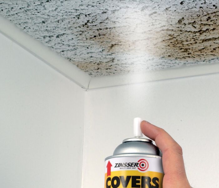 Zinsser Covers Up Spray Mat - Wit - 400ml - Detailed view of the product