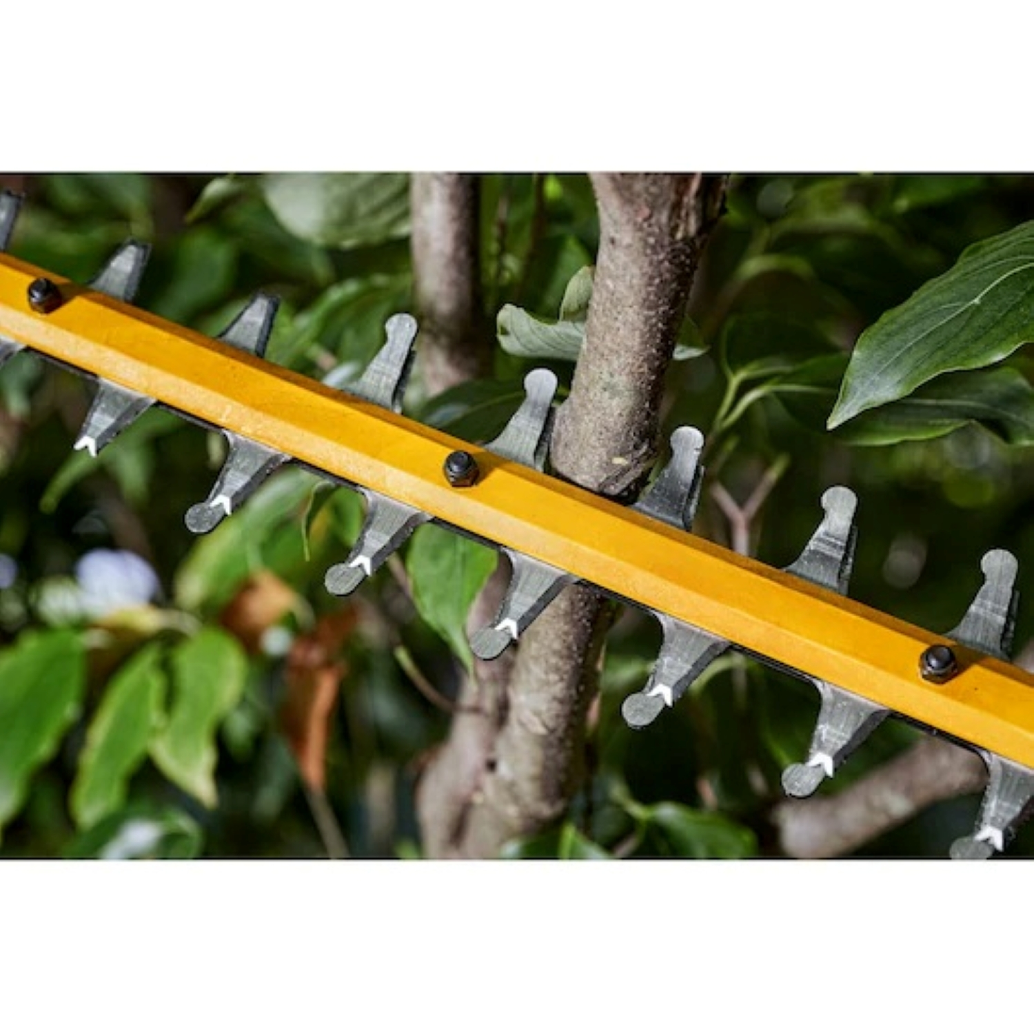 DeWALT DCMHT573X1-QW 54V Li-ion FlexVolt Accu Heggenschaar Set (1x 9.0Ah) - 65 Cm thumbnail 3