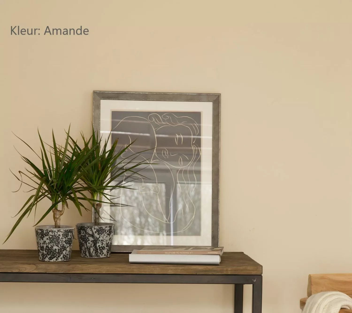 Flamant Wall Matt - 5L thumbnail 4