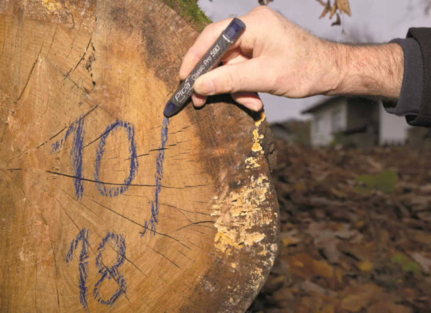 Pica 590/44 PRO Markeerkrijt - Geel - 12 X 120mm (12st) thumbnail 3