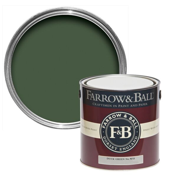 Farrow&Ball Flat Eggshell Duck Green No.W55 - 2,5L afbeelding