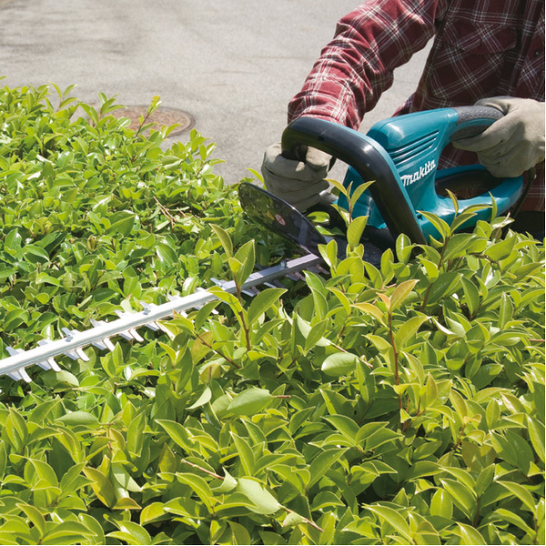 Makita UH5570 Heggenschaar - 550W - 550mm - Detailed view of the product