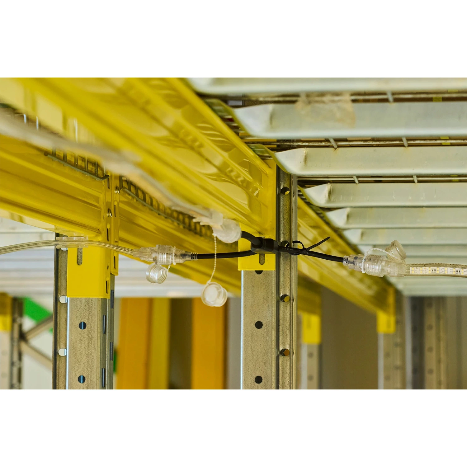 Bailey 146944 Splitter 2-uitgangen (2Y) Voor LED Rope Plus thumbnail 4