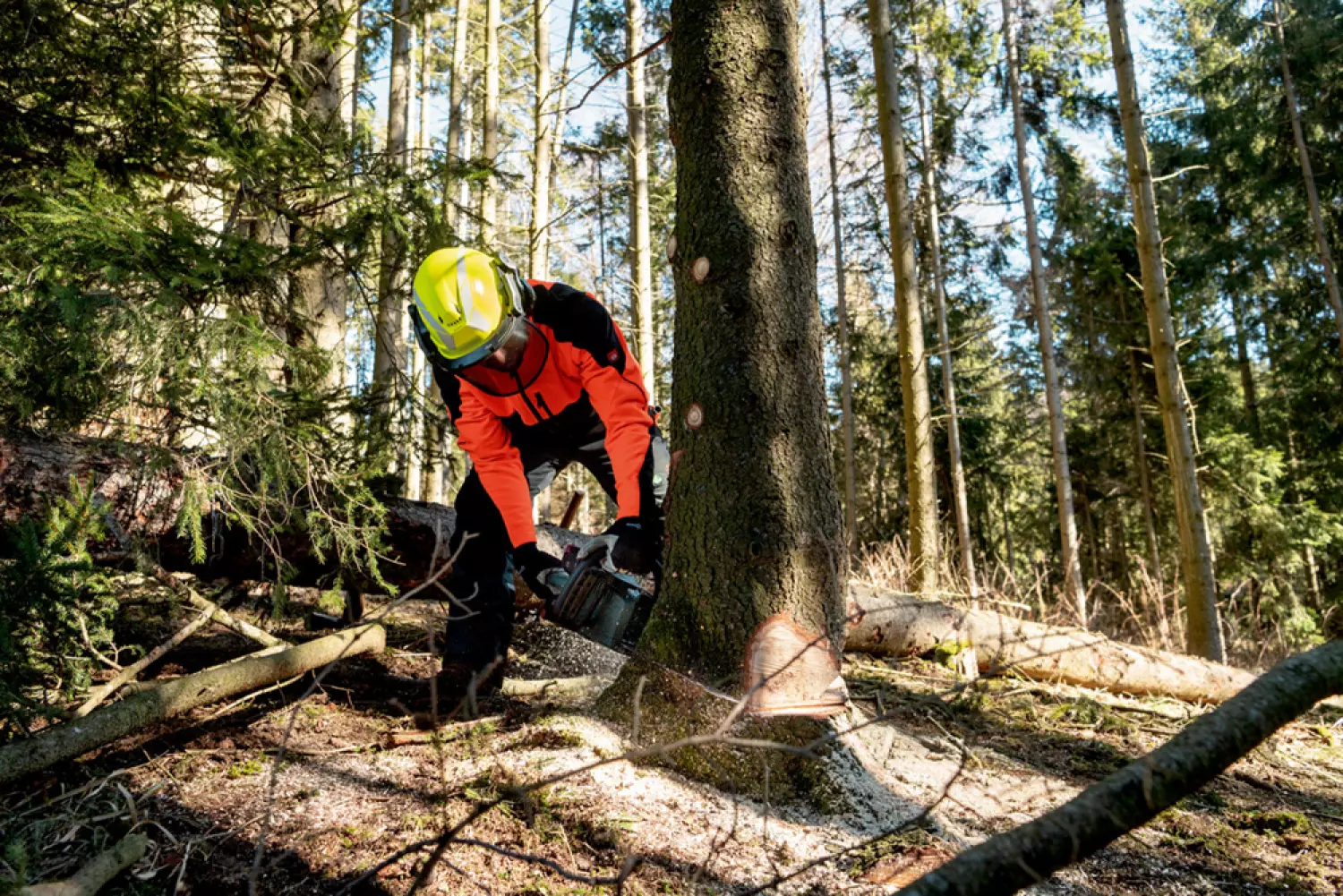 Metabo MS 36-18 LTX BL 40 36V Li-Ion Accu Kettingzaag Body - 36cm thumbnail 2