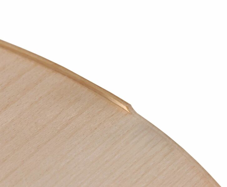 Festool 491666 HW D 19/16 S8 Kantenfrees - 19 X 46 X 16mm - Detailed view of the product