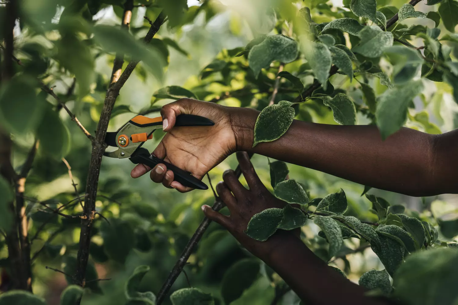 Fiskars 1057163 Solid Metal Snoeischaar Bypass P331 - 20mm thumbnail 3