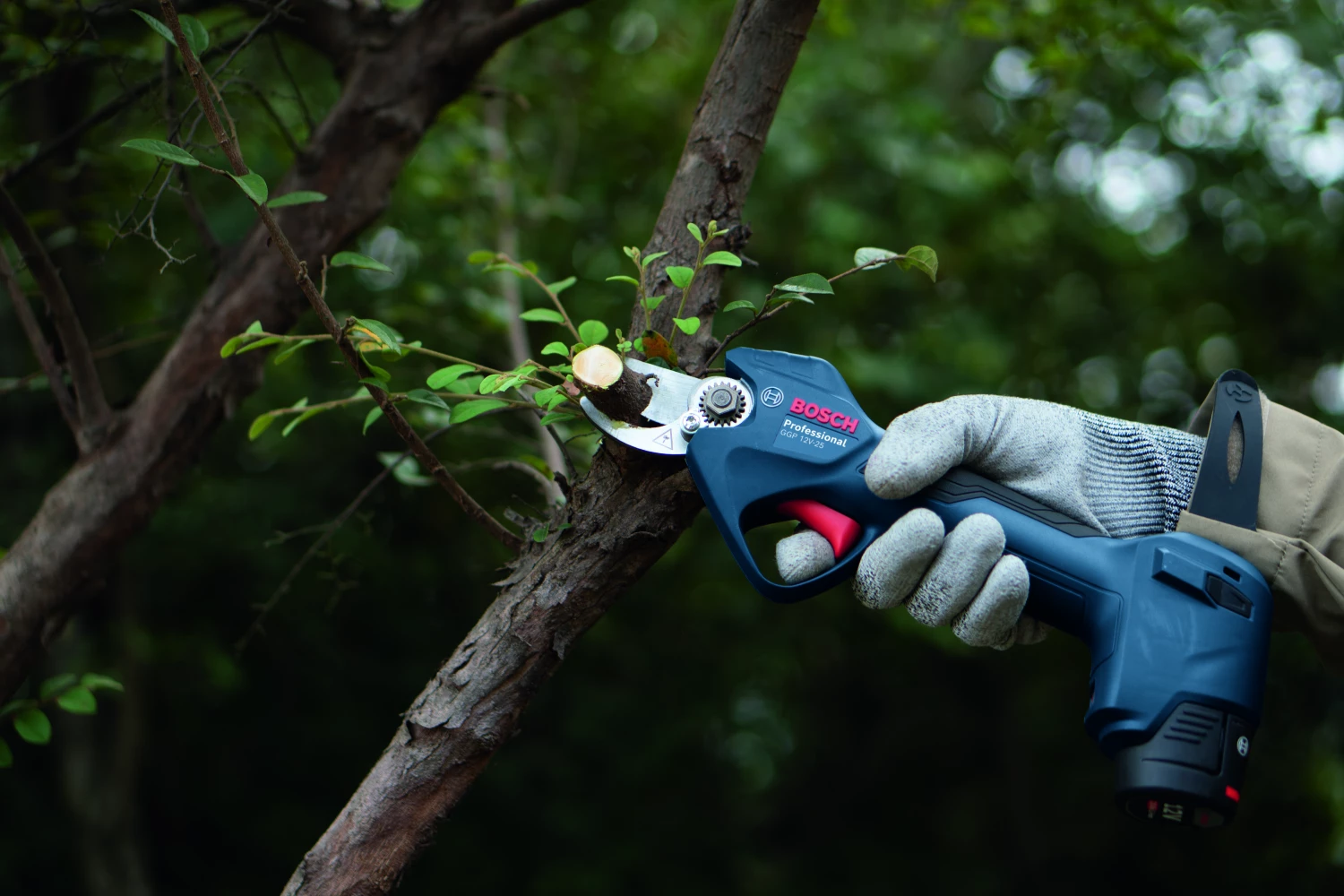 Bosch GGP 12V-25 12V Accu Snoeischaar Body thumbnail 4