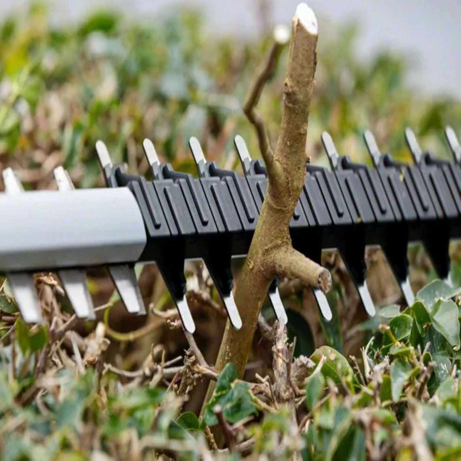 Bosch GHE 18V-60 18V Li-ion Accu Heggenschaar Body - 60 Cm thumbnail 4