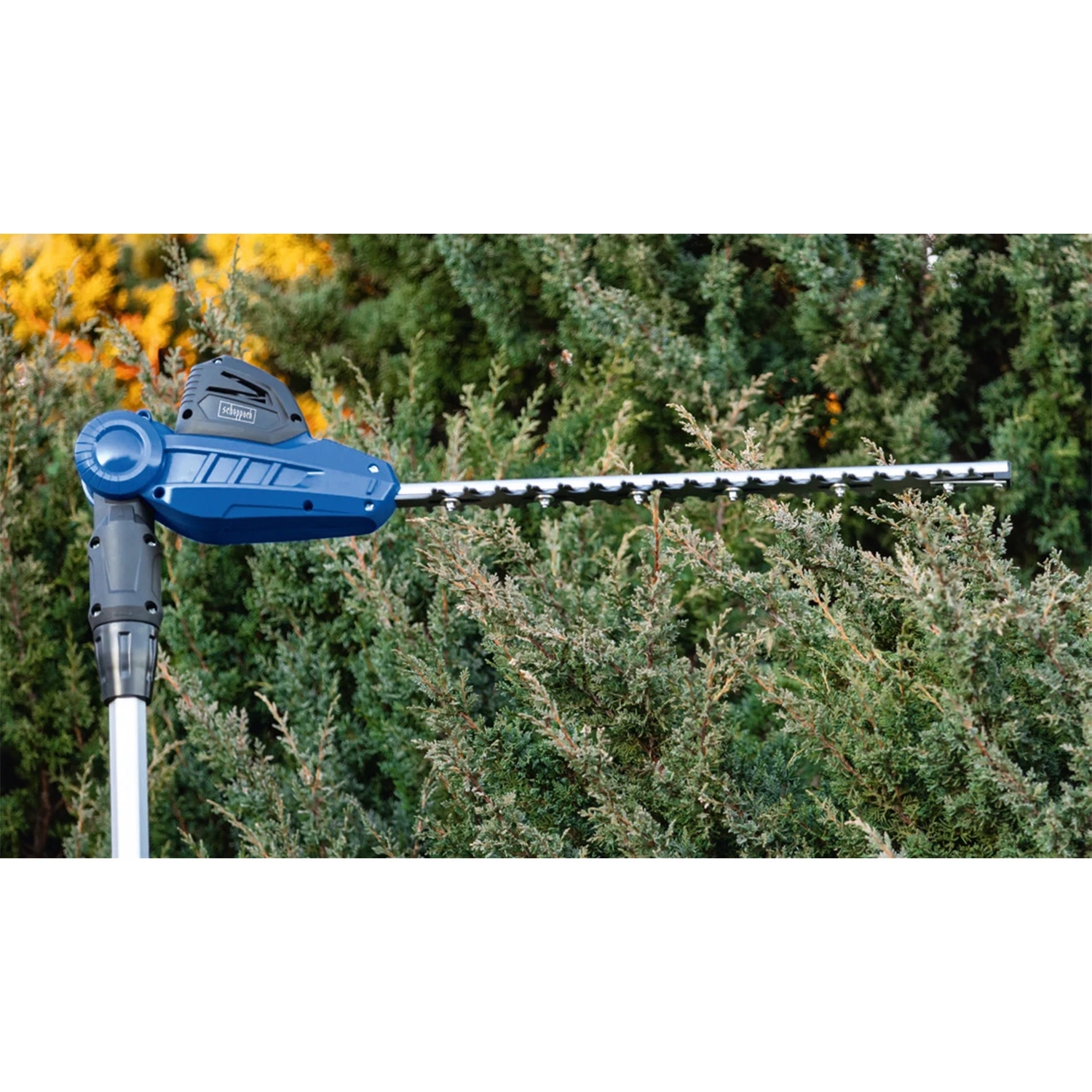 Scheppach Telescopische Accu Heggenschaar 20V C-PHS410-X thumbnail 3