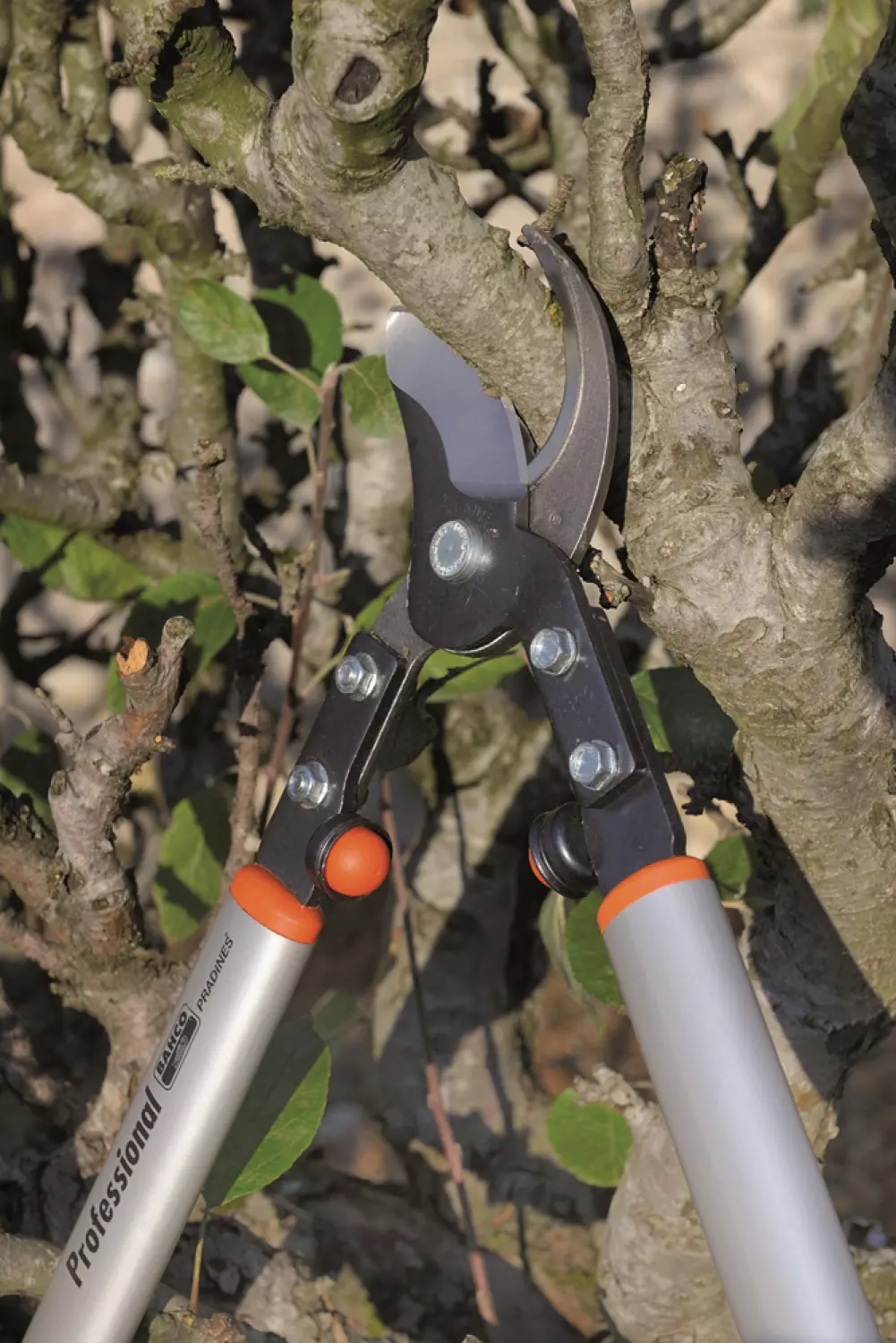 Bahco P160-SL-90 Takkenschaar - Professioneel - 900mm thumbnail 2