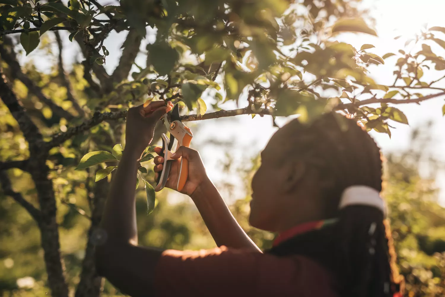 Fiskars 1057172 Plus PowerLever Metalen Snoeischaar Bypass P751 - 24mm thumbnail 3