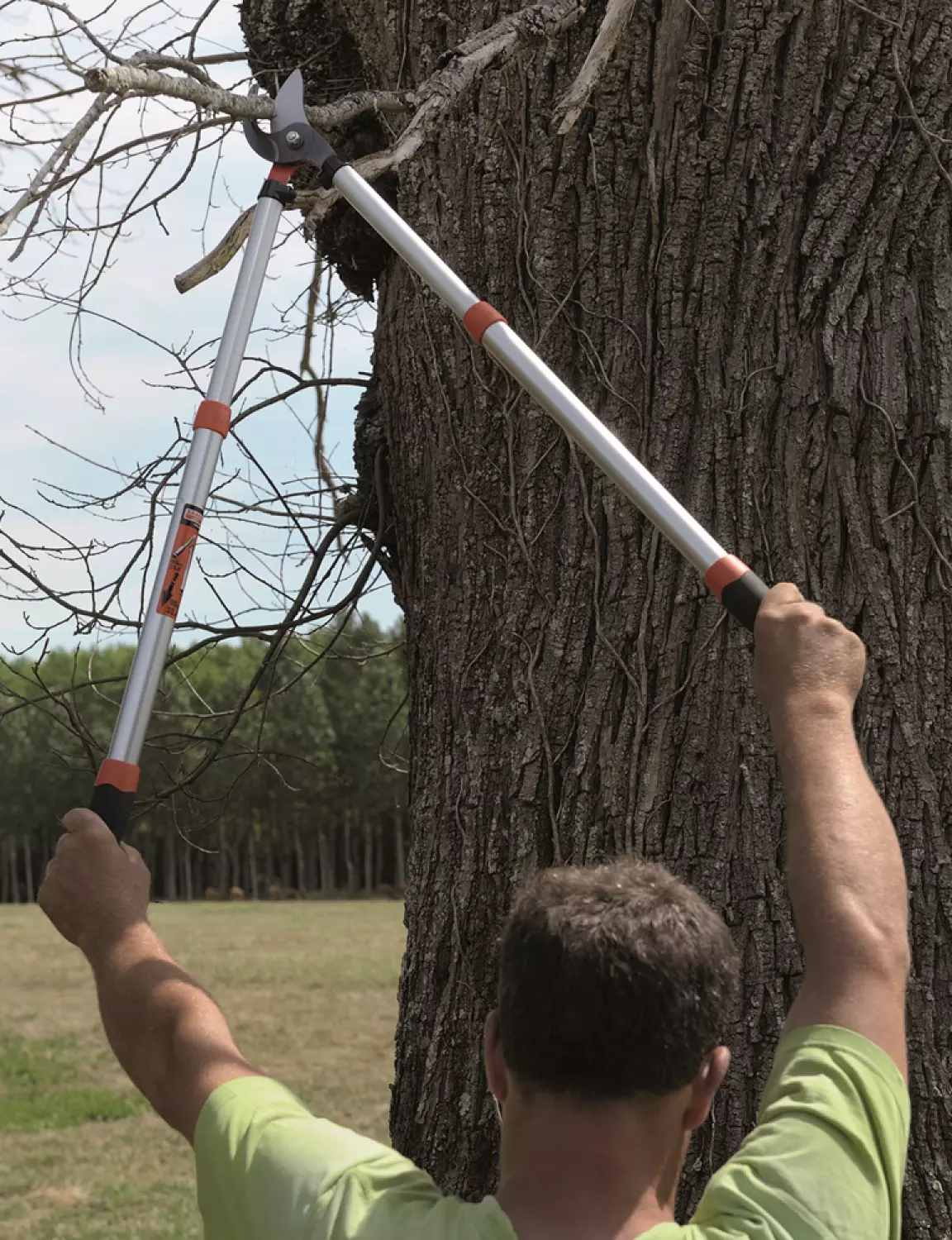 Bahco PG-19-F Telescopische Takkenschaar - Max. knipbreedte 40 mm - Lengte 700 - 900 mm