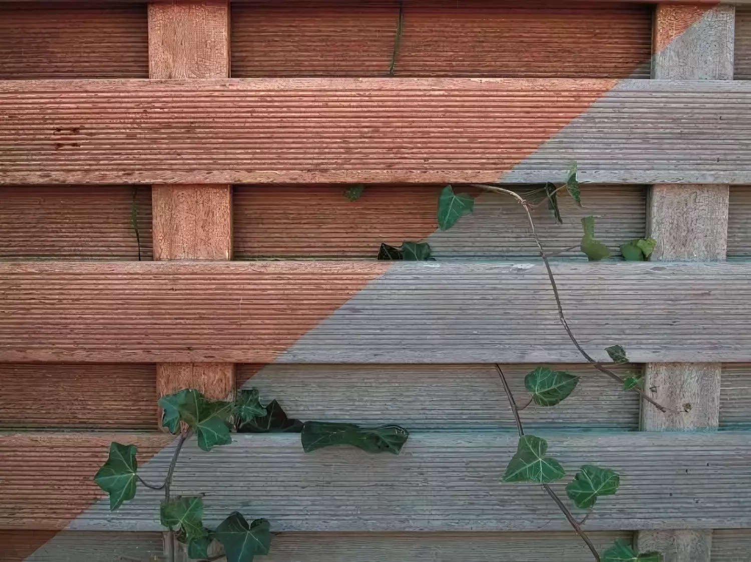 Tenco Bangkirai Olie - 1L thumbnail 2