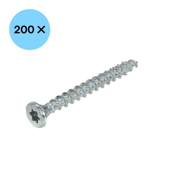 DynaPlus 0281.01.25901 Unischroef - TX20 - 4.0 X 50mm - Platkop - Voldraad - Verzinkt (200st) - Detailed view of the product