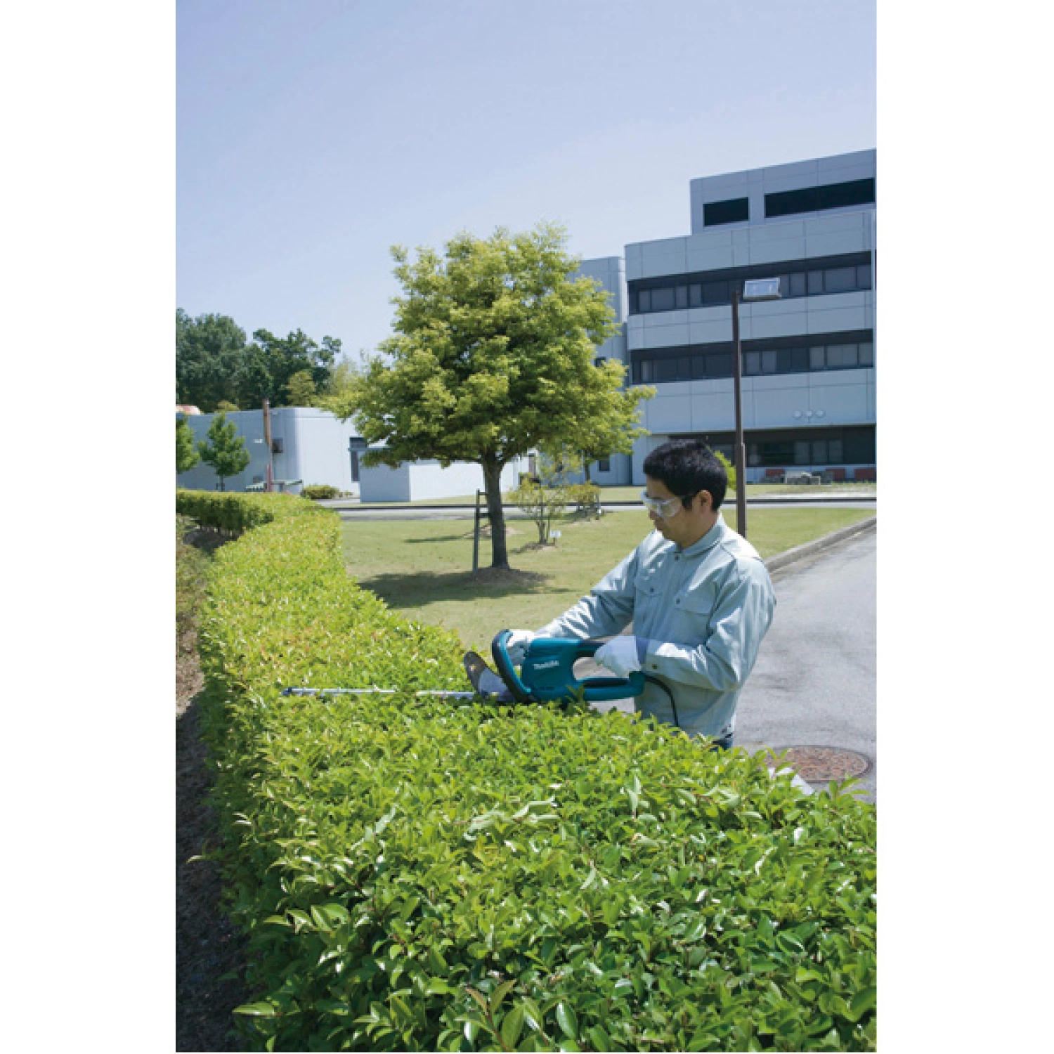 Makita UH6570 Heggenschaar - 550W - 650mm thumbnail 4