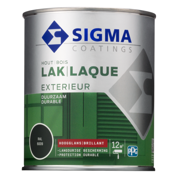 Sigma Exterieur Lak Hoogglans 750 ml RAL 6009