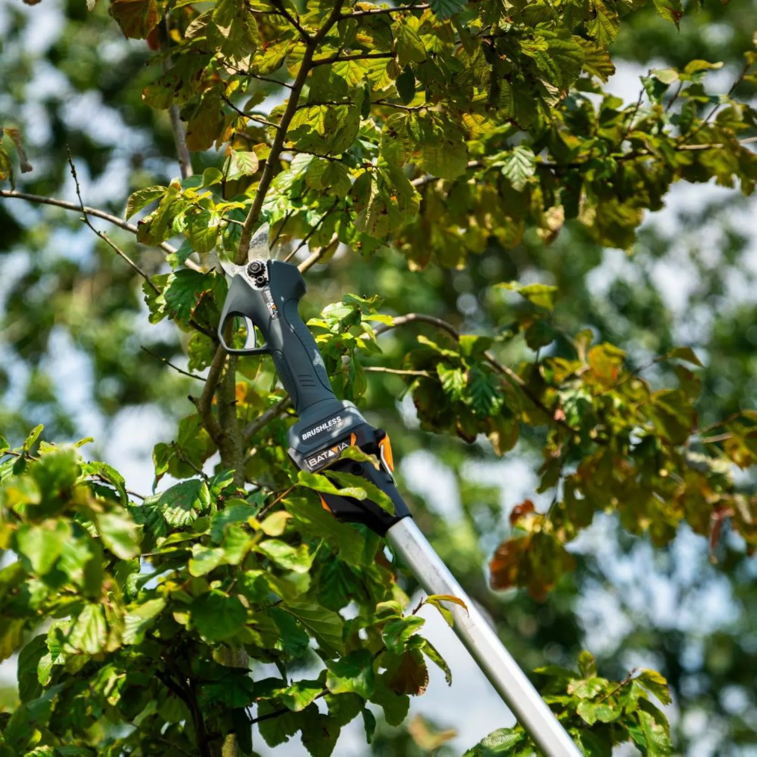 Batavia 7064494 Telescopische Verlengsteel Voor 18V Nexxsaws En Takkenschaar - 175 Cm thumbnail 4